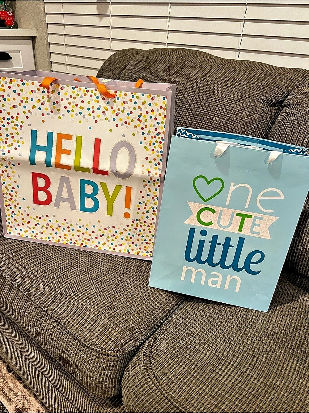 Spritz Baby Shower Gift Bags Set of 2 Blue & White